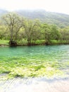 Salalah, Oman, Wadi DarbatÃÂ 